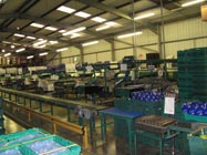 Production Line Equipment